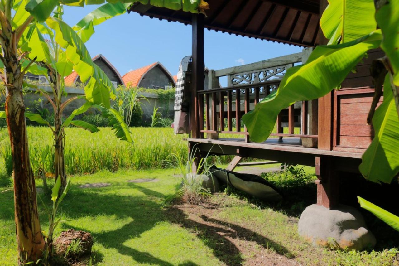 Keramas Surf Camp Hotel Exterior photo