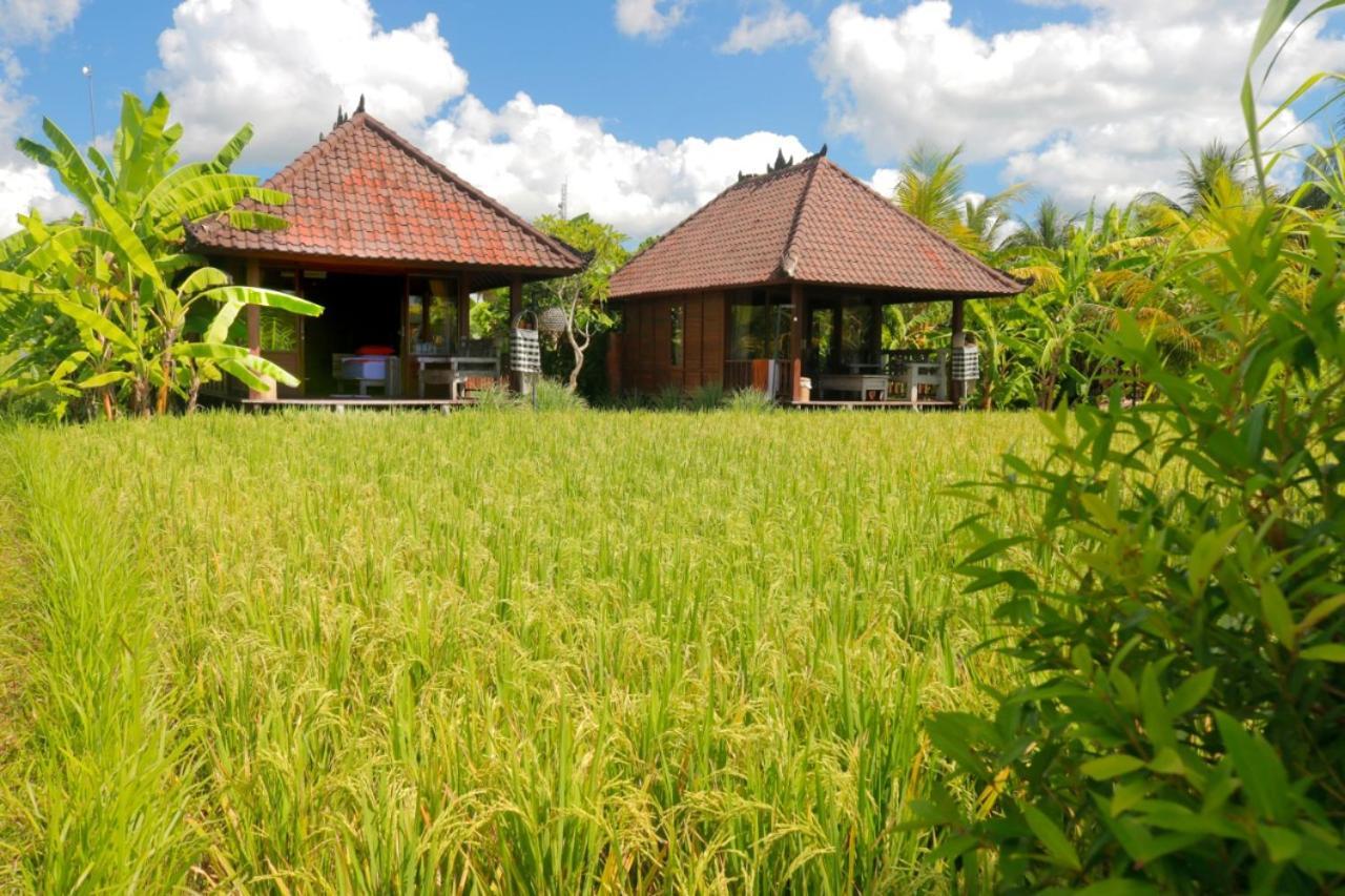 Keramas Surf Camp Hotel Exterior photo