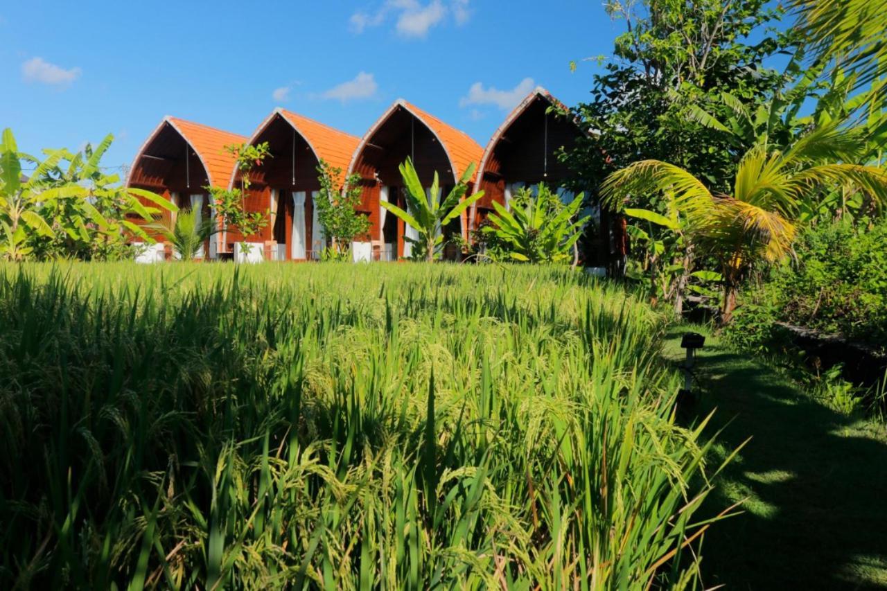 Keramas Surf Camp Hotel Exterior photo