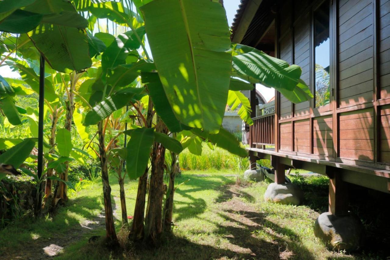 Keramas Surf Camp Hotel Exterior photo
