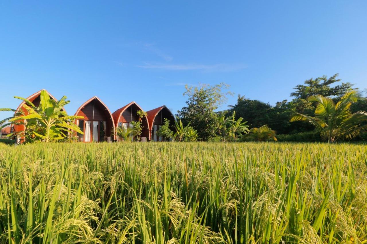 Keramas Surf Camp Hotel Exterior photo