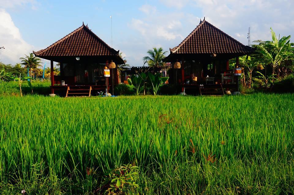 Keramas Surf Camp Hotel Exterior photo