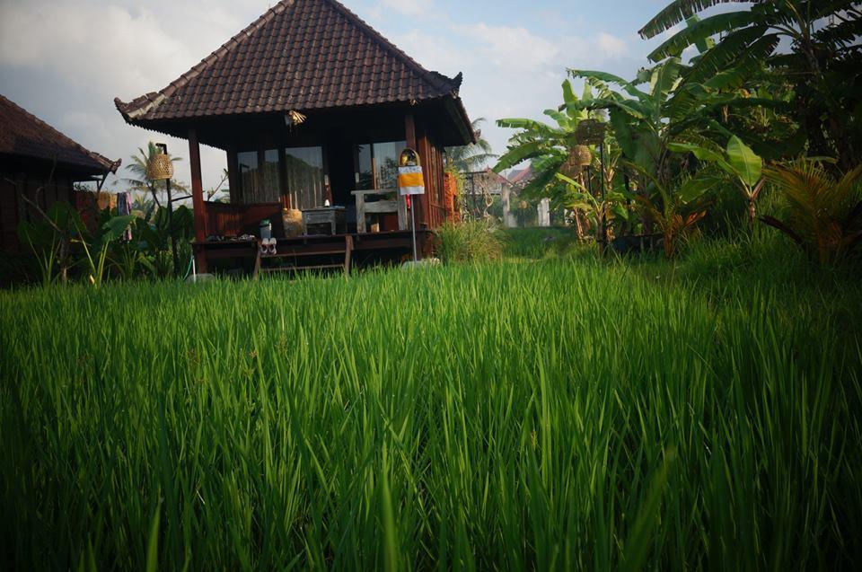 Keramas Surf Camp Hotel Exterior photo
