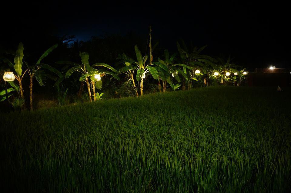 Keramas Surf Camp Hotel Exterior photo