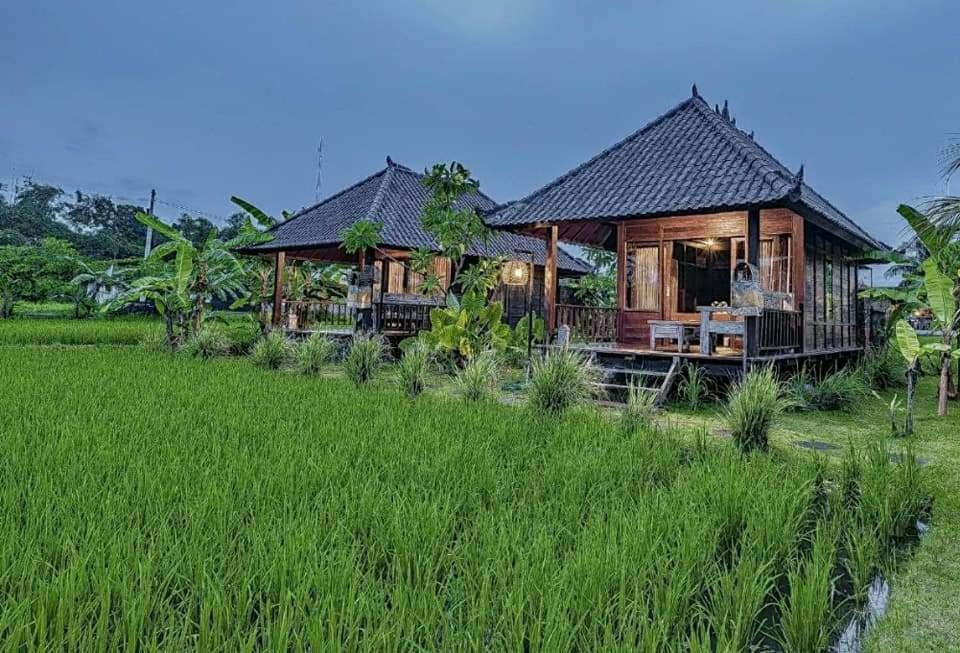 Keramas Surf Camp Hotel Exterior photo